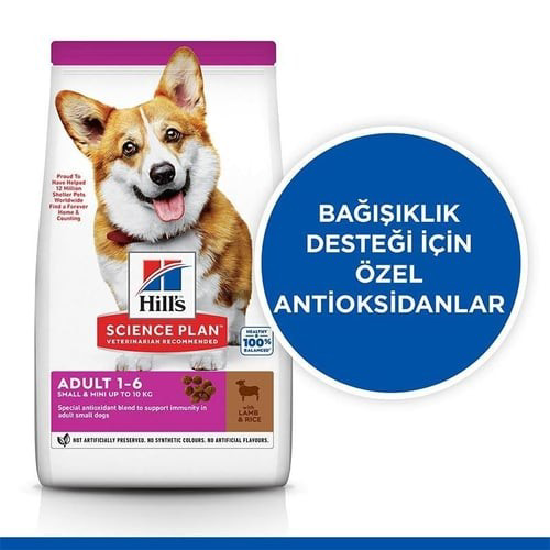 Hill's Hills Kuzu Ve Pirinçli Küçük Ve Mini İrk Yetişkin Köpek Mamasi 1,