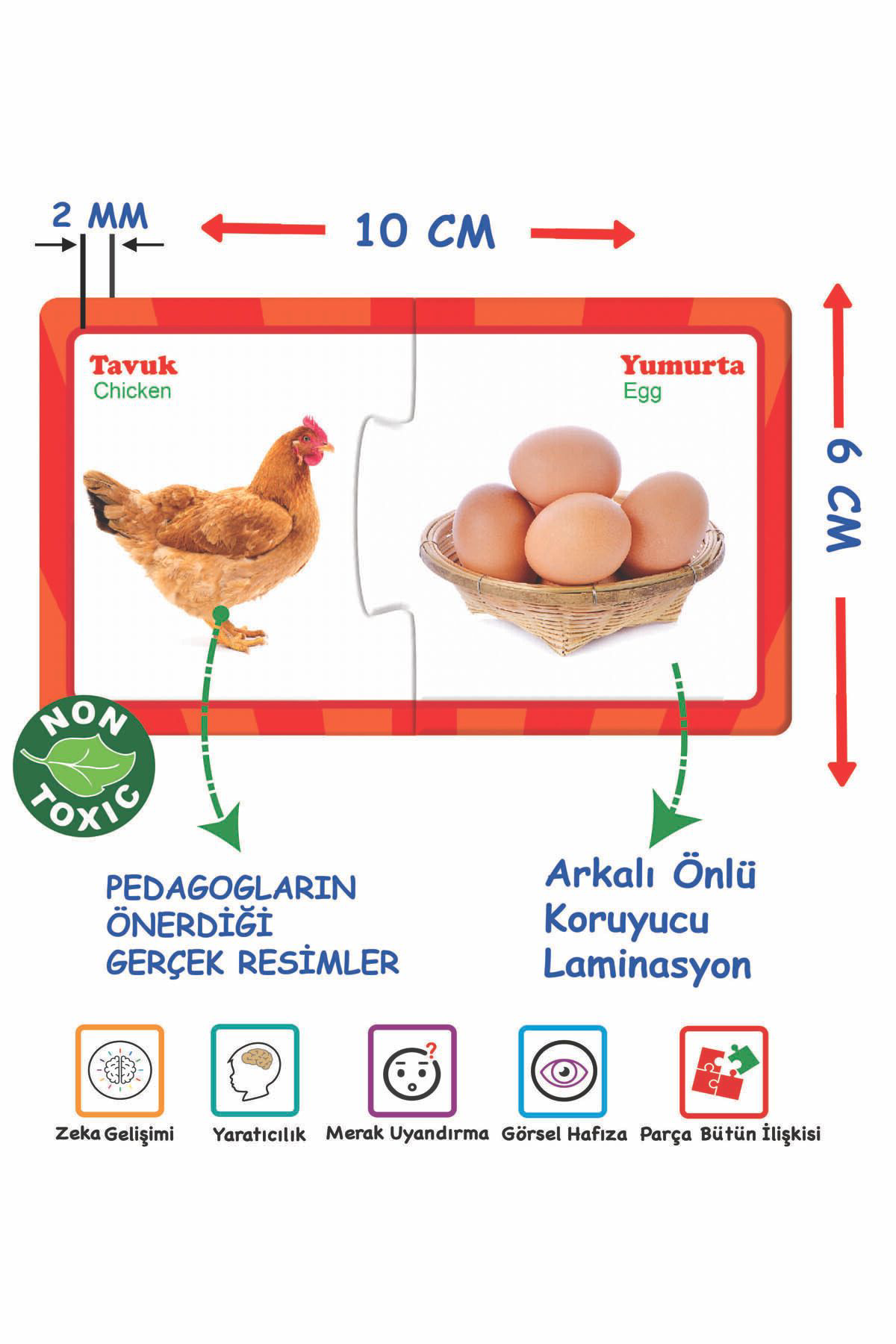 Diytoy İlişki Kurma Eğlenceli Bulmacalar Eğitici Oyuncak Set Puzzle