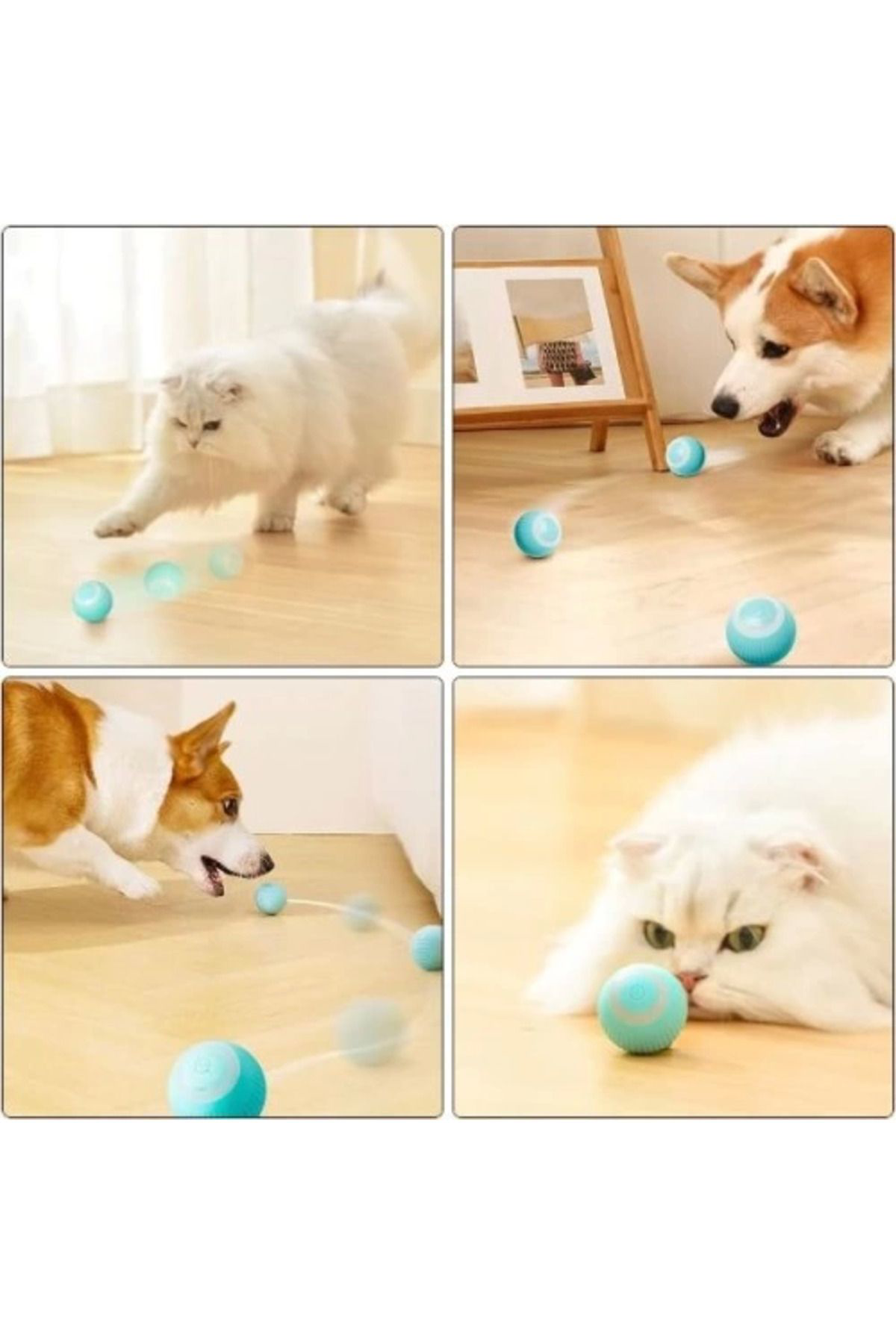 Yusuftex İnteraktif Kedi Köpek Şarjli Oyun Topu