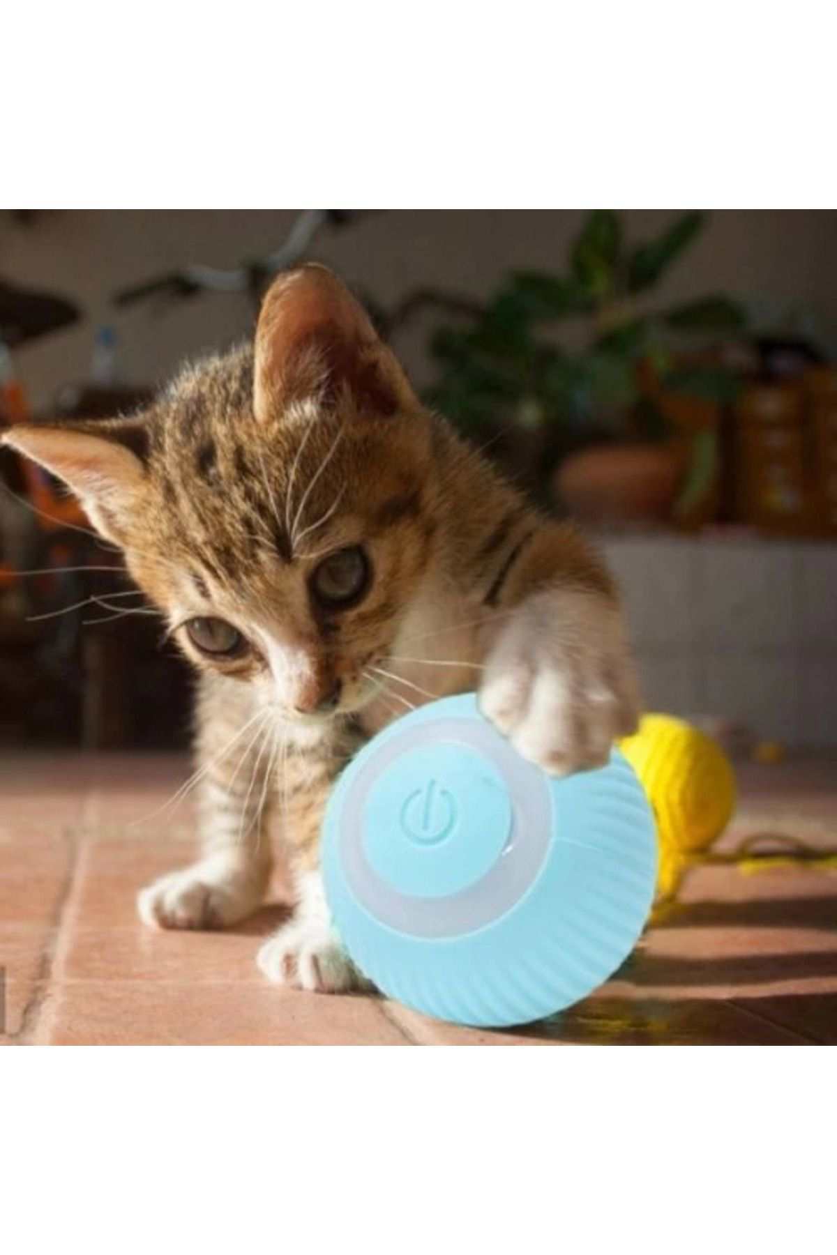 Yusuftex İnteraktif Kedi Köpek Şarjli Oyun Topu