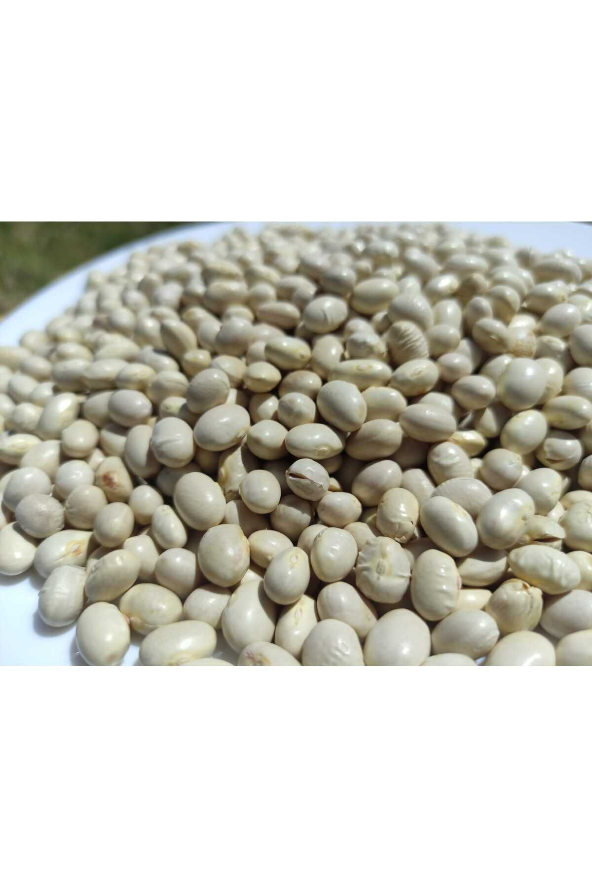 Lina Pazar İspir Fasulye Tescilli Fasulye 1 Kilo