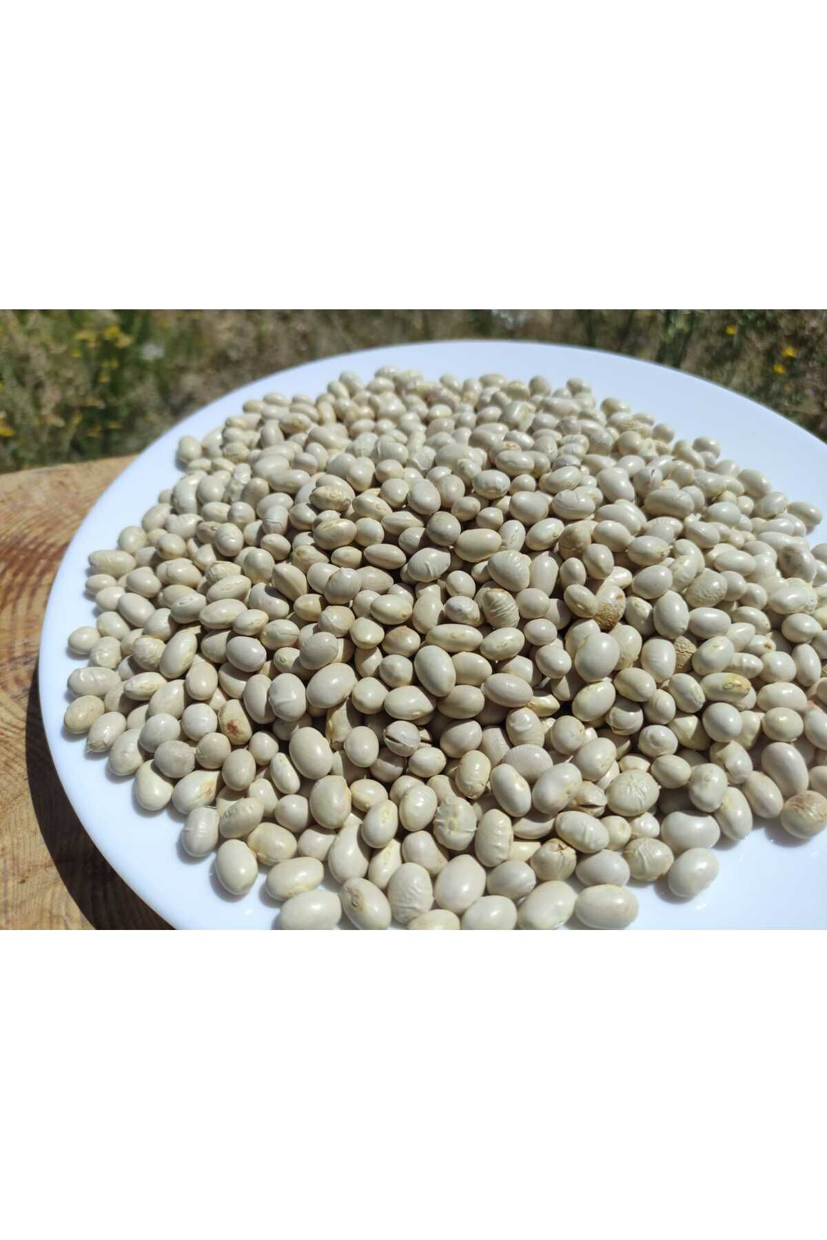 Lina Pazar İspir Fasulye Tescilli Fasulye 1 Kilo