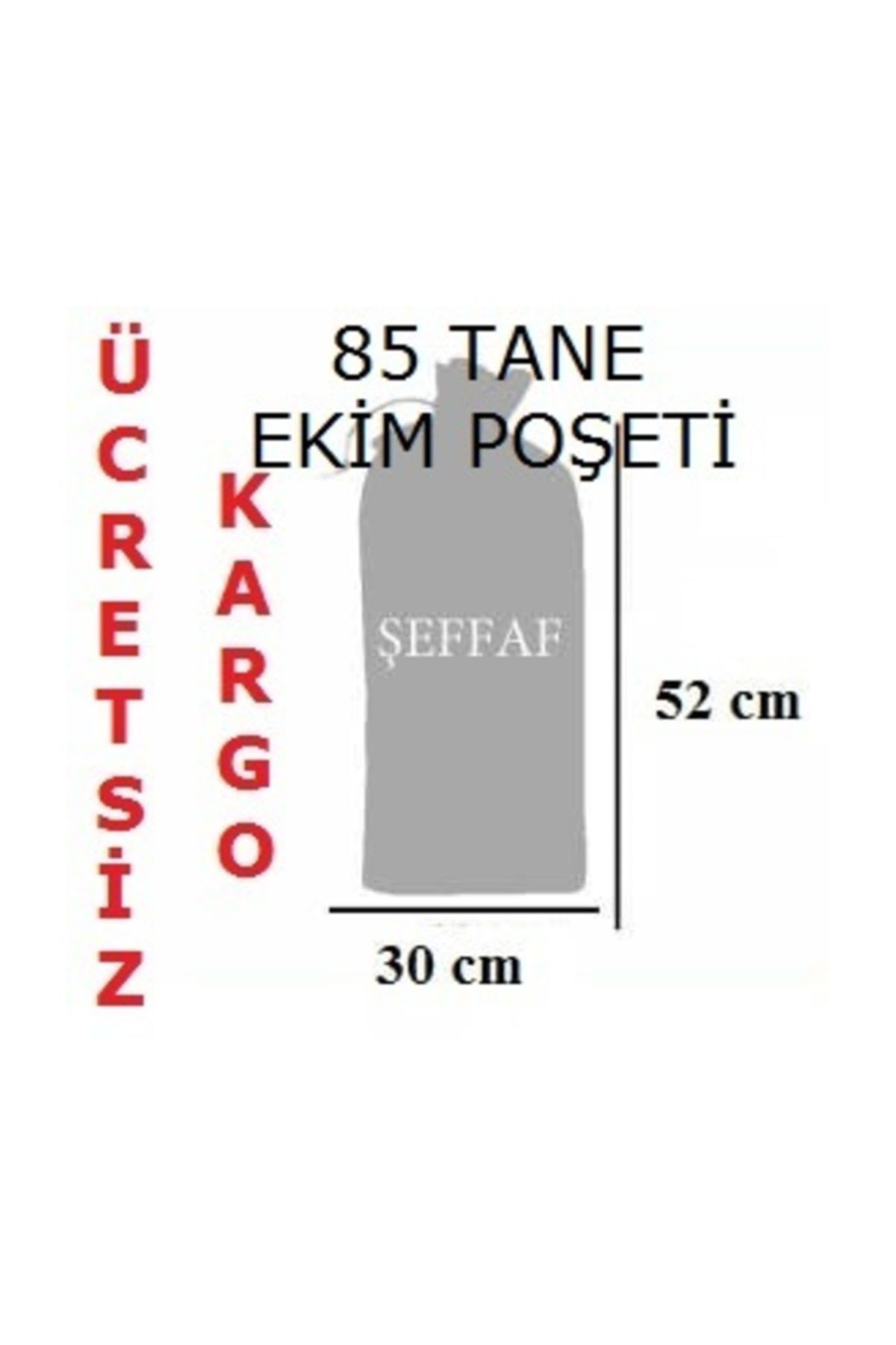 Beyaz İstiridye Mantari Ekim Torbasi (Şeffaf)