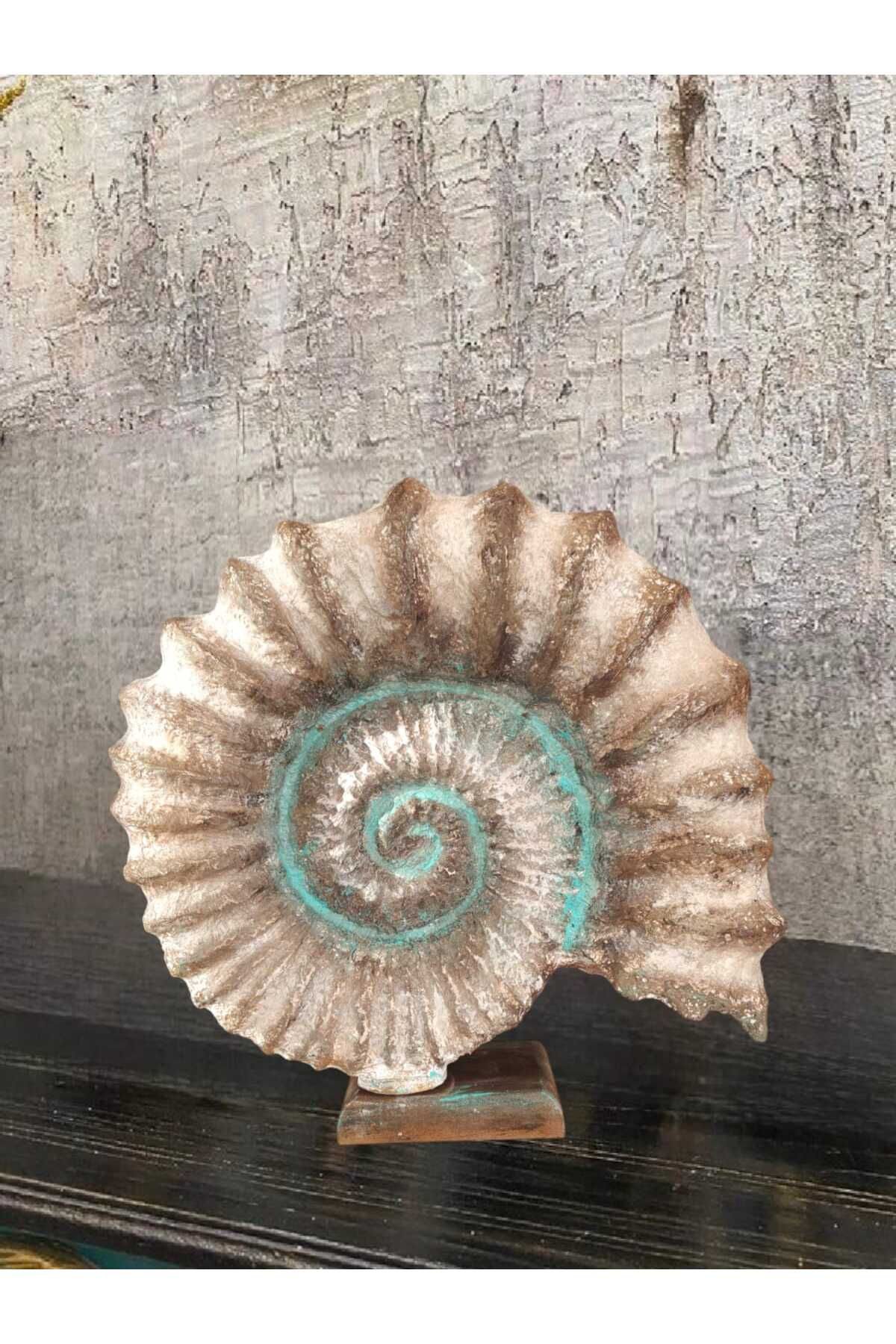 Dodemert Home Kaideli Deniz Kabuğu Polyester Dekoratif Biblo 30 X 30 Cm