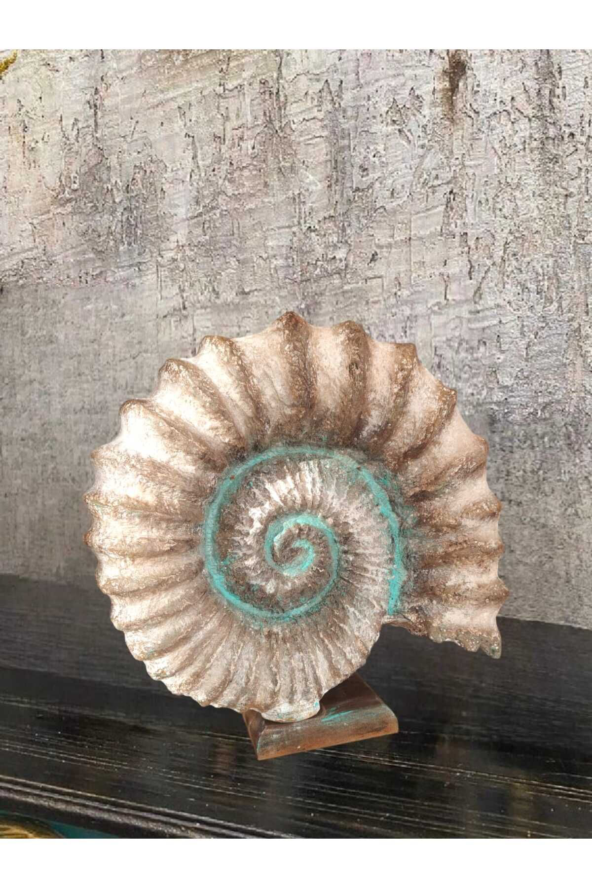 Dodemert Home Kaideli Deniz Kabuğu Polyester Dekoratif Biblo 30 X 30 Cm