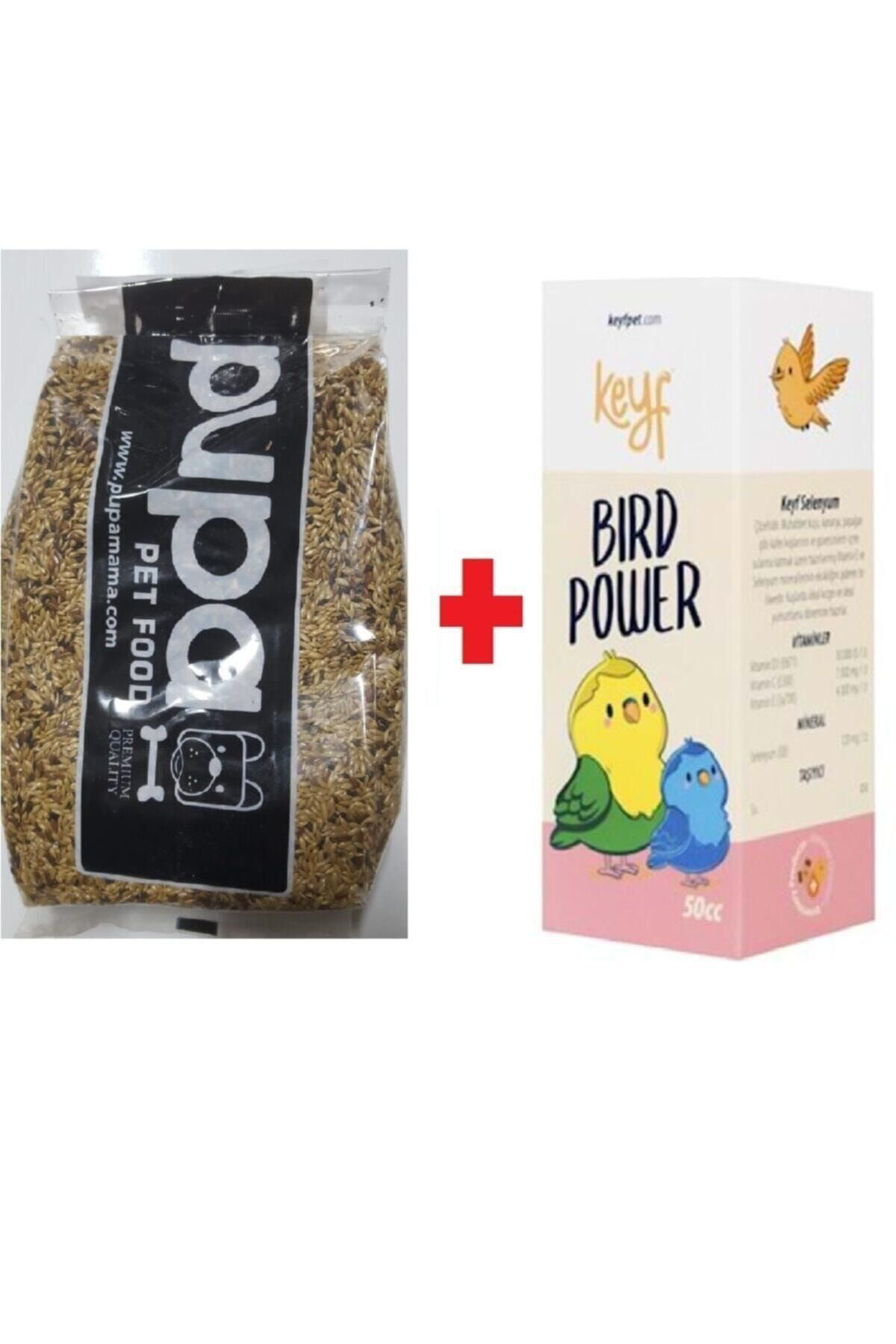 Pupa Kanarya Yemi 1 Kg Karişik Taneli Keyf Bird Power 50 Cc(Kanaryalar