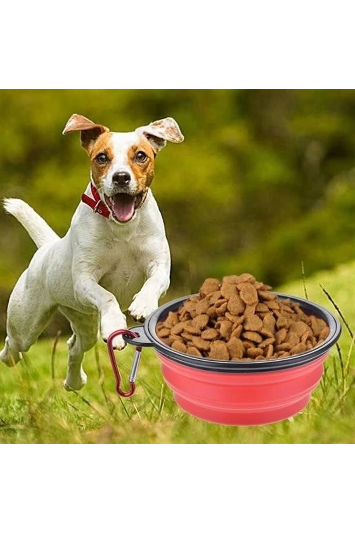 Yusuftex Katlanabilir Kedi Köpek Mama Ve Su Kabi Köpek Oyuncaği