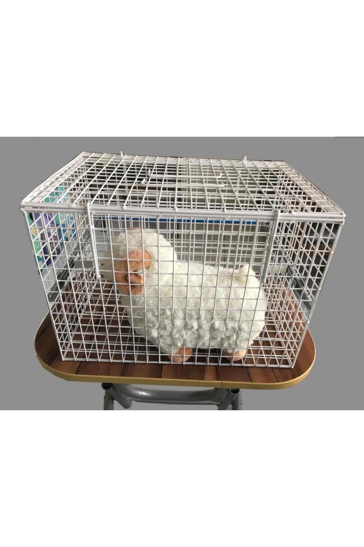 Ekvet Kedi Enjeksiyon Kafesi 45 X 31 X 31 Cm