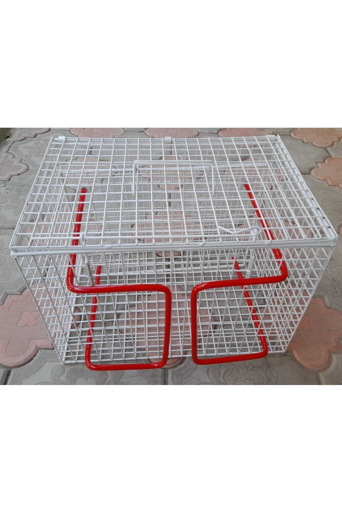 Ekvet Kedi Enjeksiyon Kafesi 45 X 31 X 31 Cm