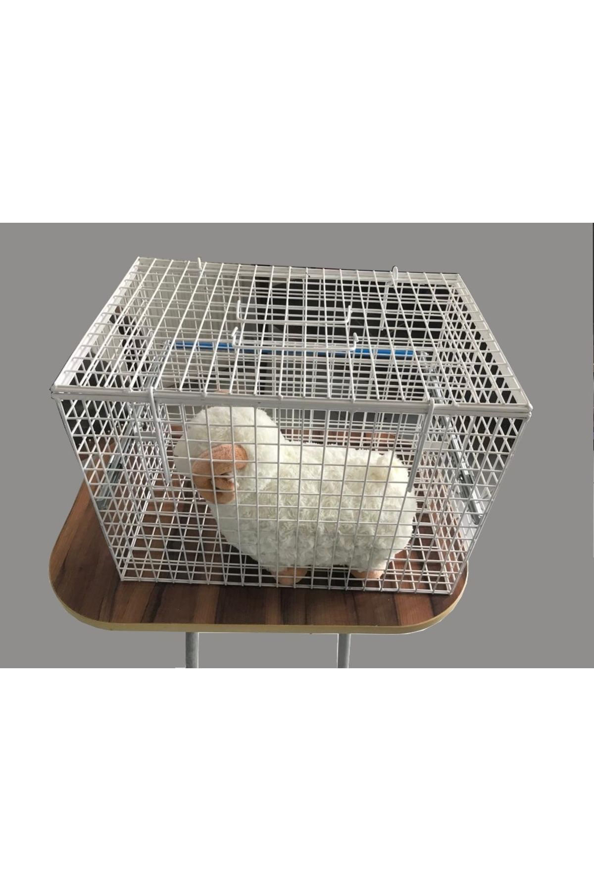 Ekvet Kedi Enjeksiyon Kafesi 45 X 31 X 31 Cm