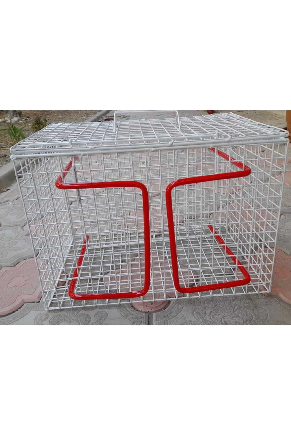 Ekvet Kedi Enjeksiyon Kafesi 45 X 31 X 31 Cm