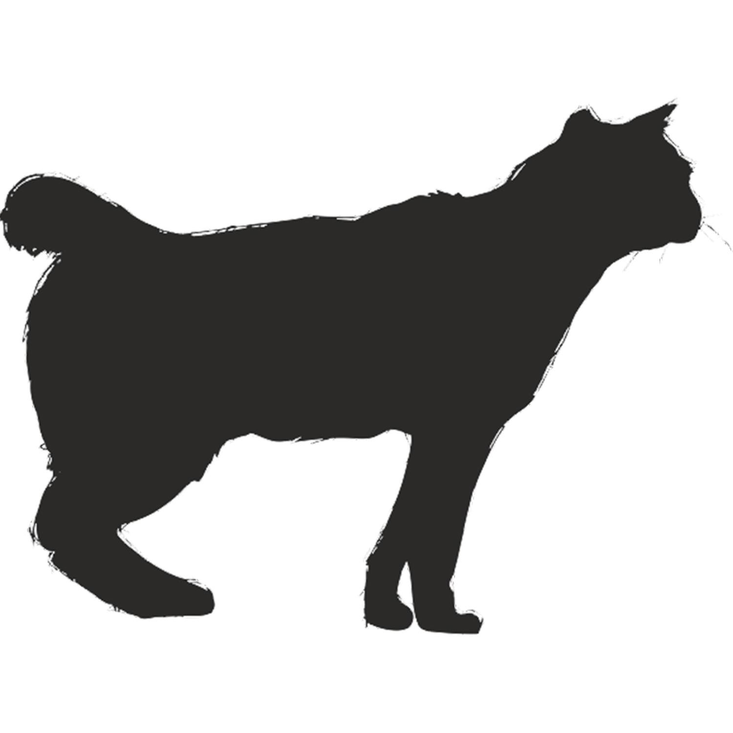 Technopa Kedi Folyo Sticker