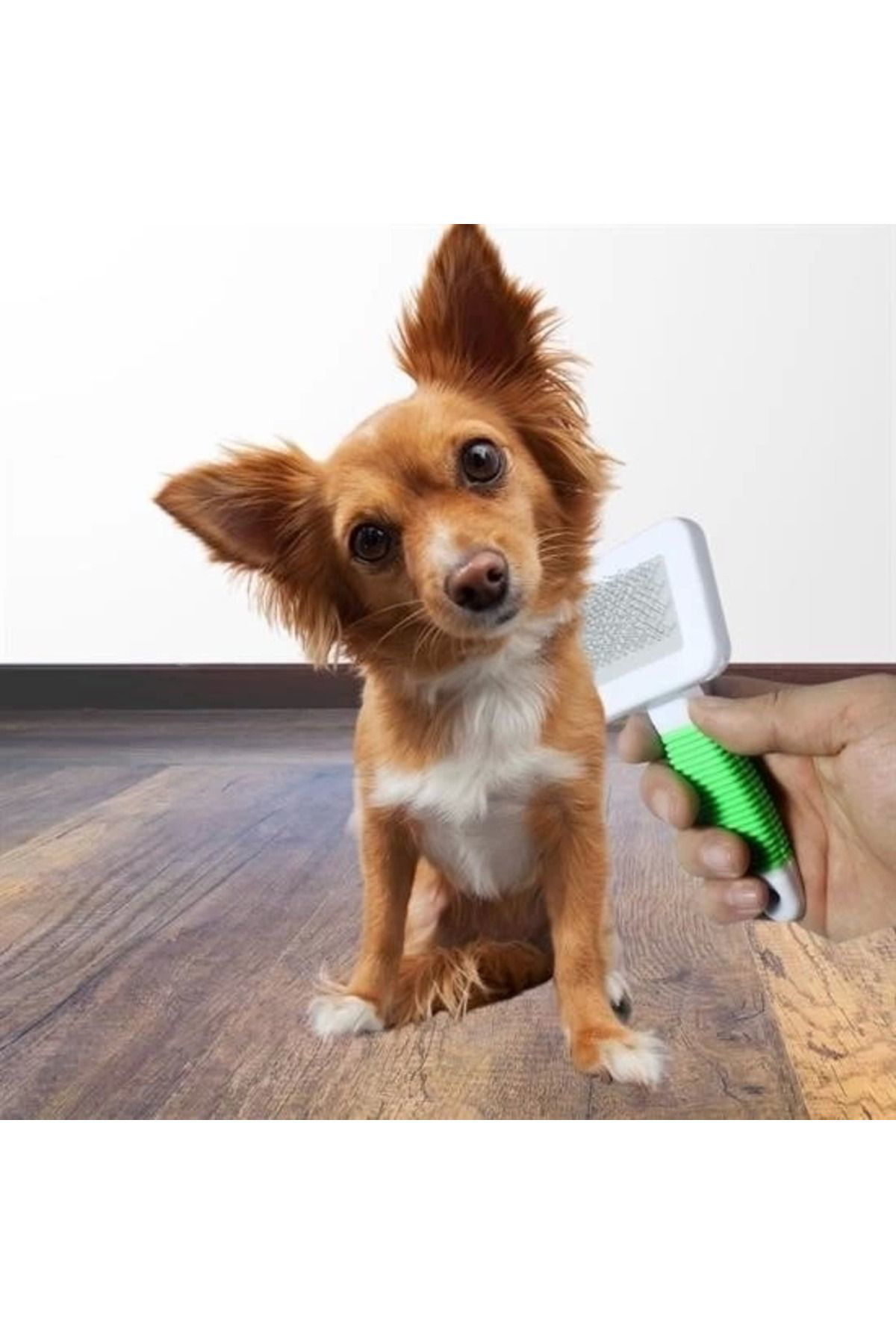 Yusuftex Kedi Köpek Telli Küçük Boy Tüy Bakim Seti Evcil Hayvan Tarama Fir