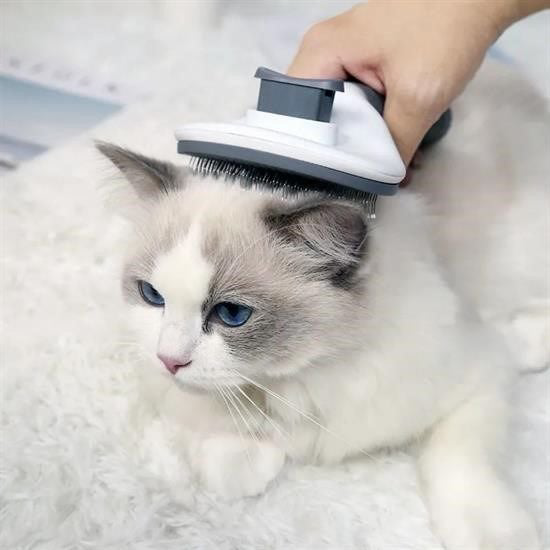 Kedi Köpek Tüy Toplayıcı Kendini Temizleyebilen Ergonomik Rahat E