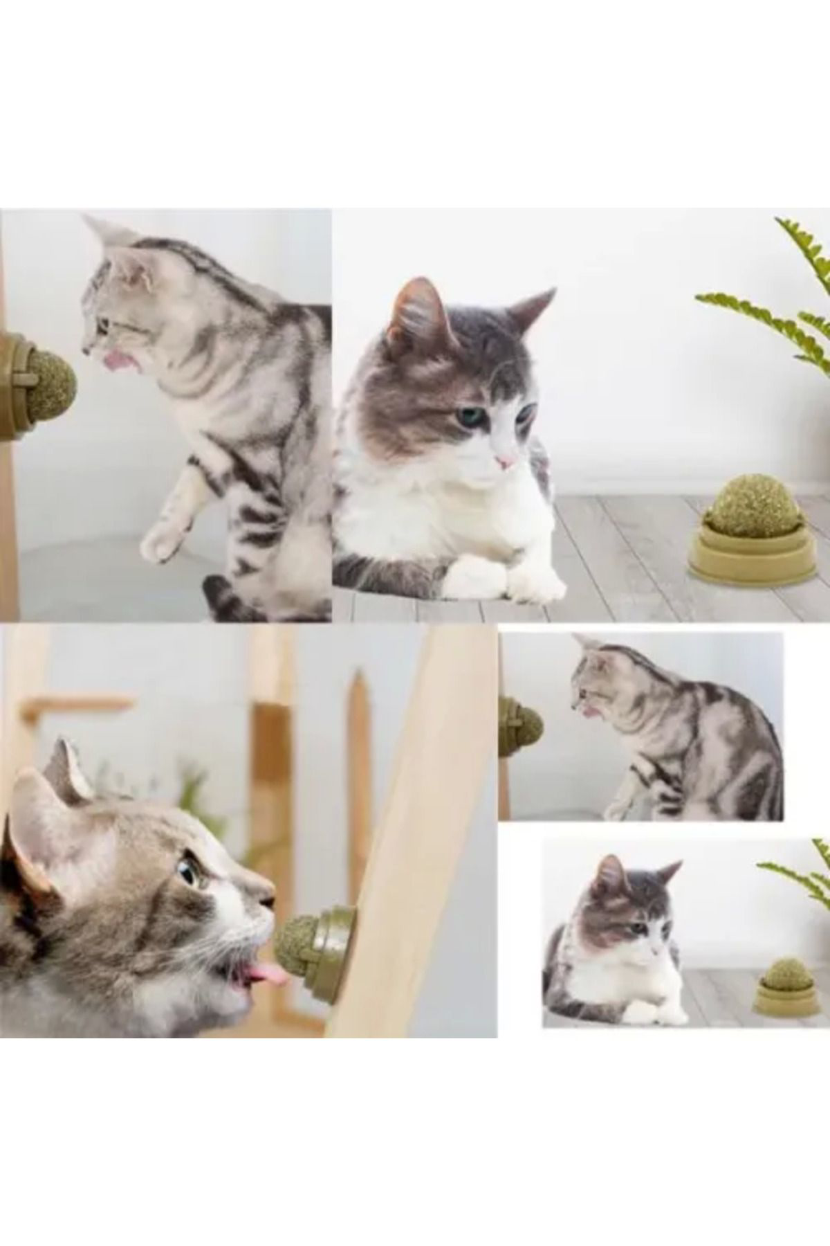 Pamiravm Kedi Nanesi Oyun Topu