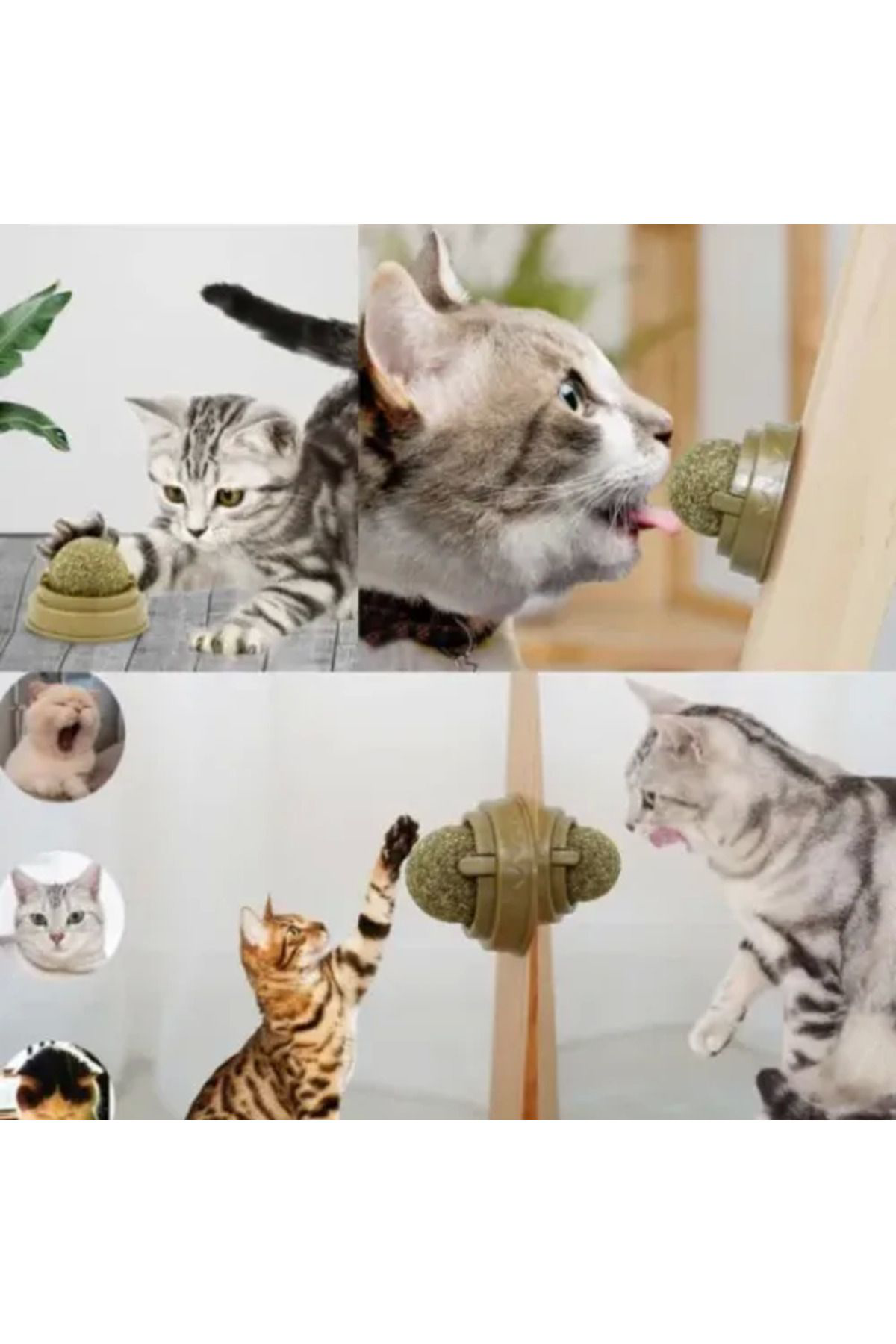 Pamiravm Kedi Nanesi Oyun Topu
