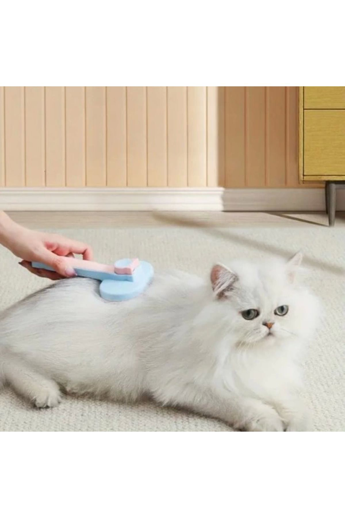 Yusuftex Kedi Ve Köpekler İçin Kendini Temizleyen Tüy Firçasi