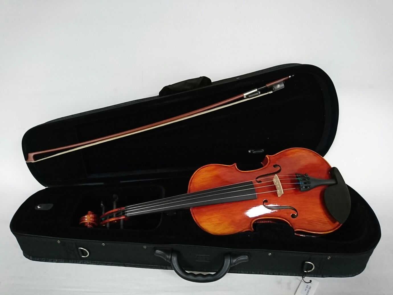 Kinglos  Kng Phb-1004Va 15.5" Viola Kutulu Viola, Kaplan Sirti (Fl