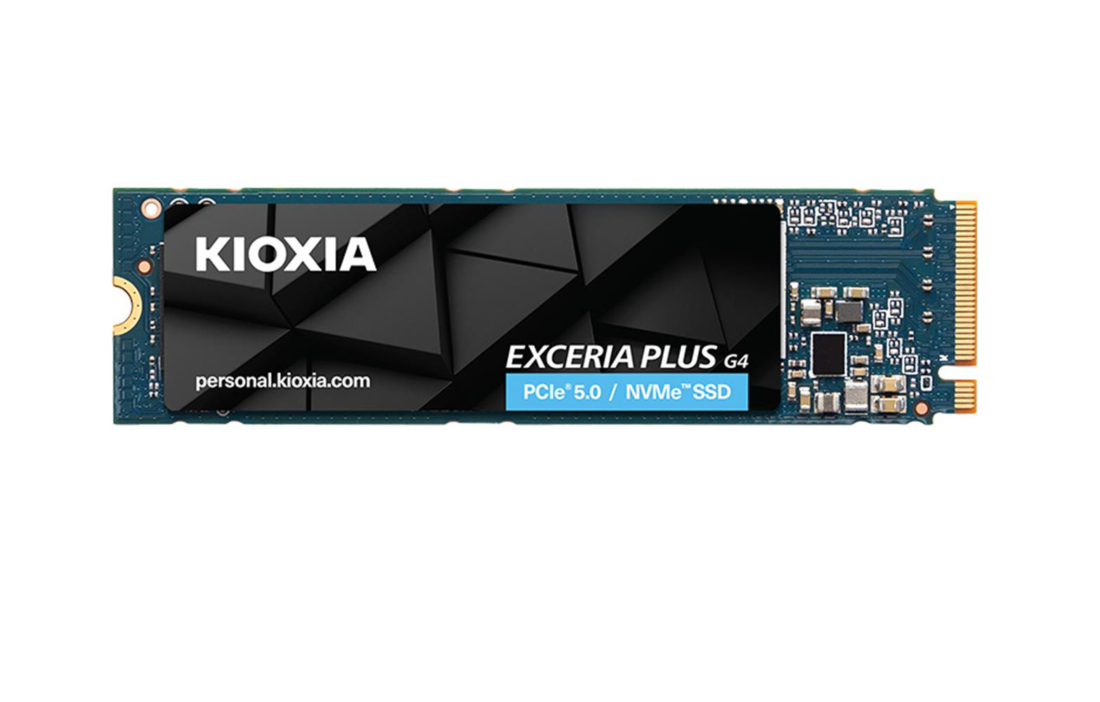 Kioxia 2Tb Exceria Plus G4 LVD10Z002TG8 2TB Gen5 10000-8200MB-sn