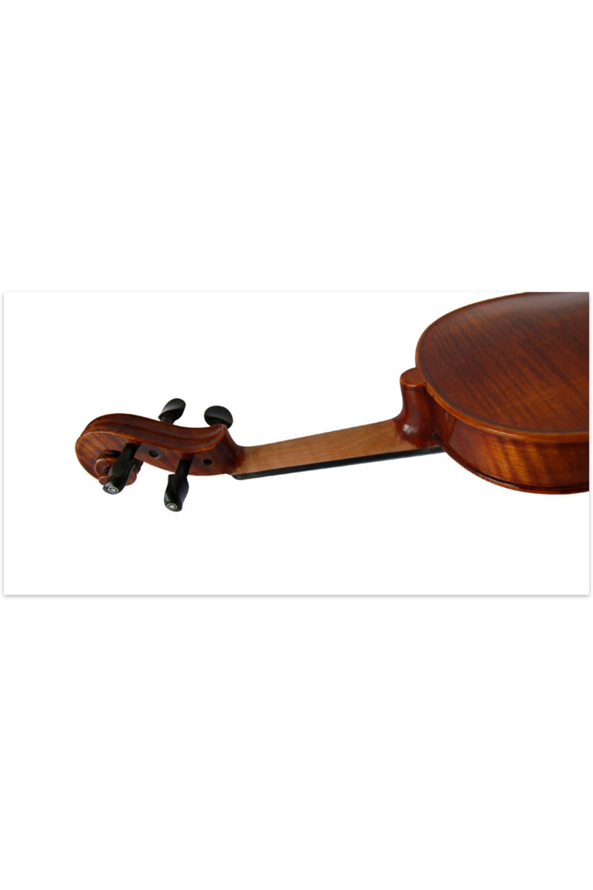 Kinglos Kng Phb-1004Va 15.5" Viola Kutulu Viola, Kaplan Sirti (Flamed Map