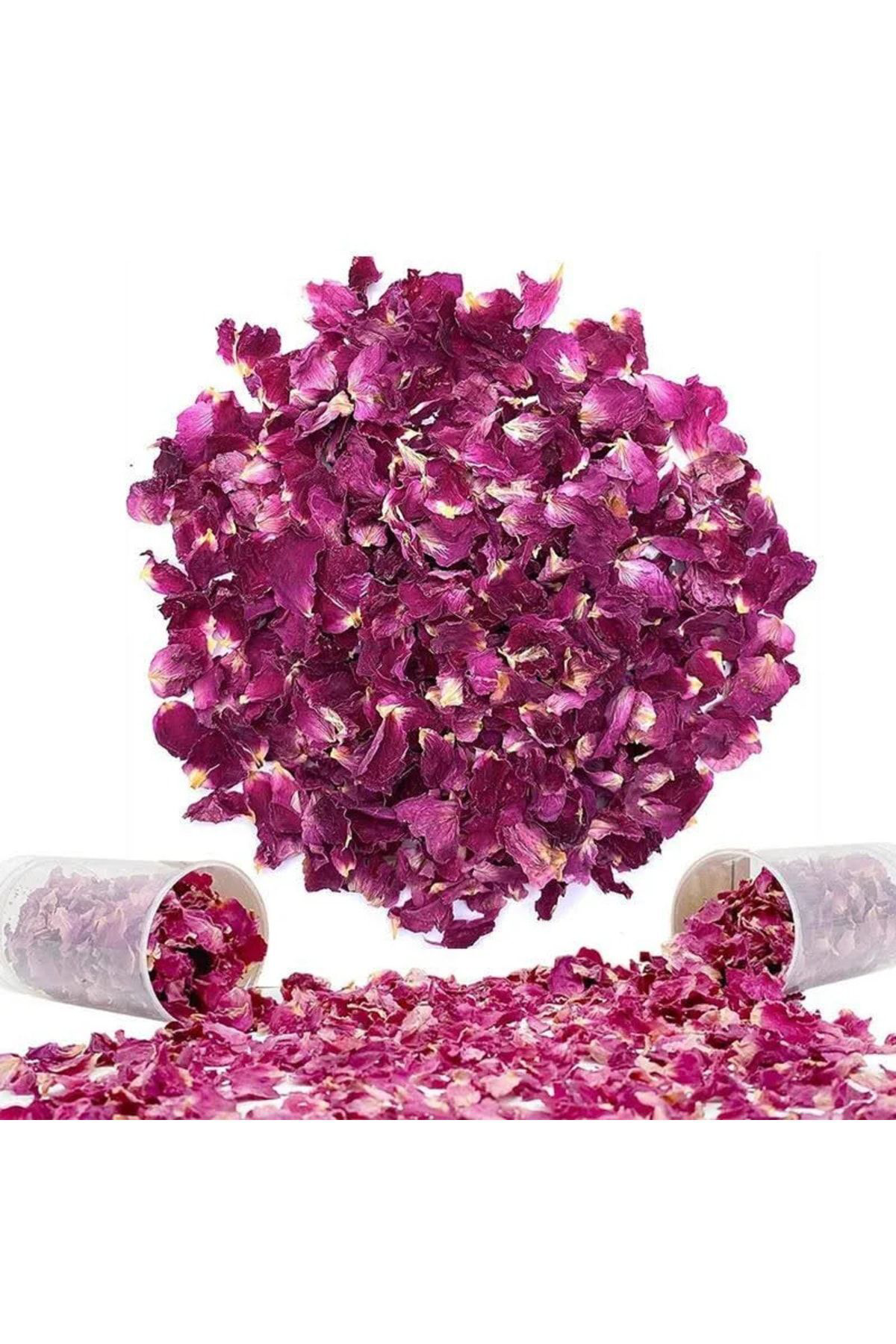 Rose Konfetti Gül (1 Adet)