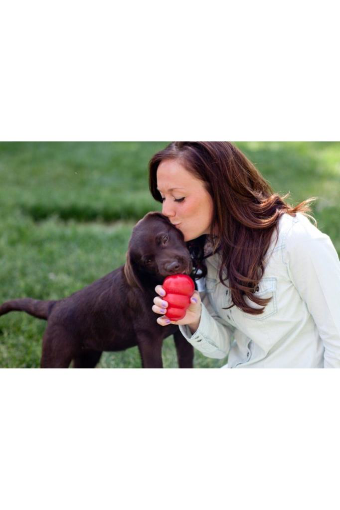 Kong  Classic Dayanikli Ödüllü Dolgulu Köpek Getirme Ve Çiğneme Kö