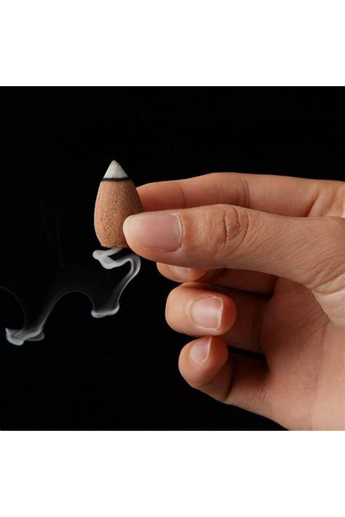 Ayurvedic Konik ( Geri Akiş ) Tütsü Adaçayi ( White Sage) Aromali( 10 Adet