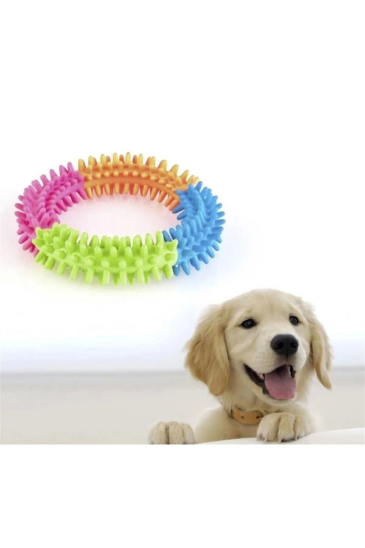 Yusuftex Köpek İsirma Diş Kaşima Çemberi