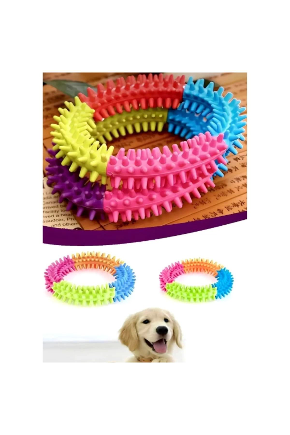 Yusuftex Köpek İsirma Diş Kaşima Çemberi