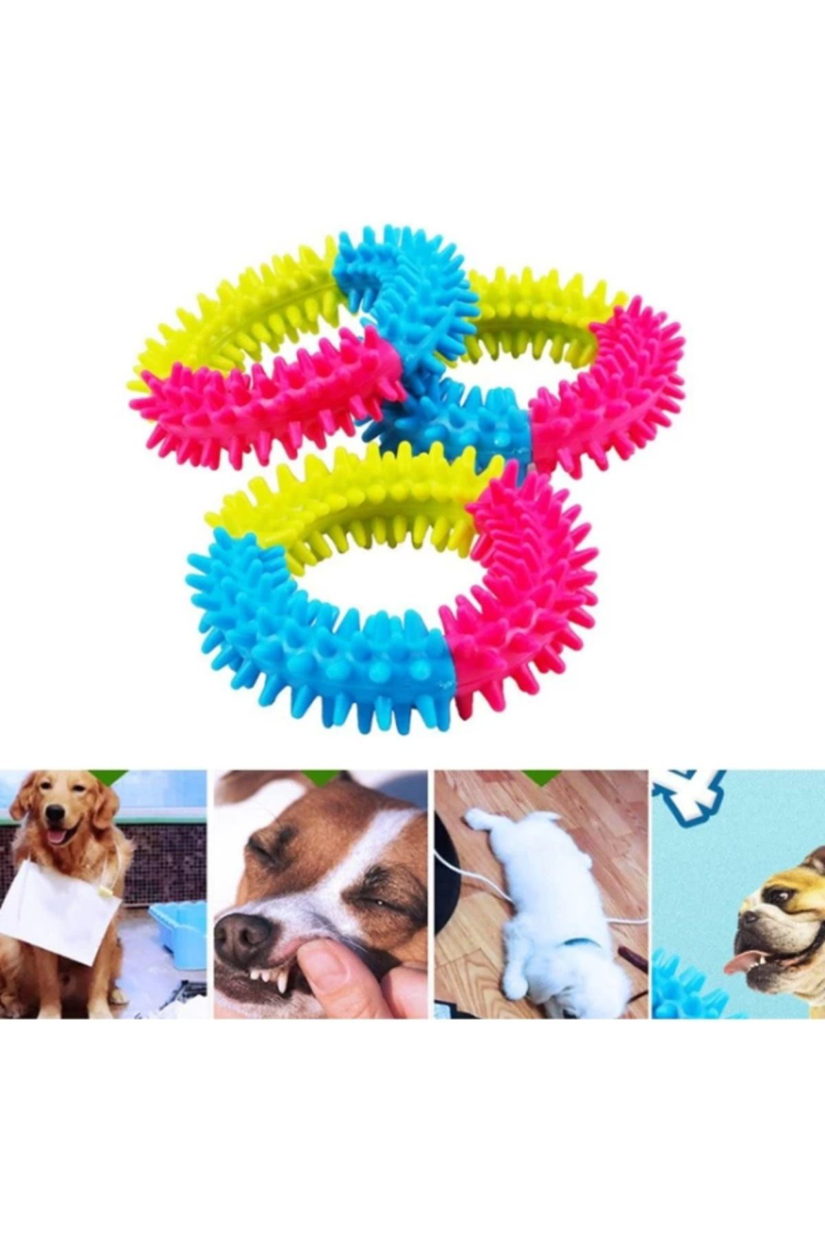 Yusuftex Köpek İsirma Diş Kaşima Çemberi