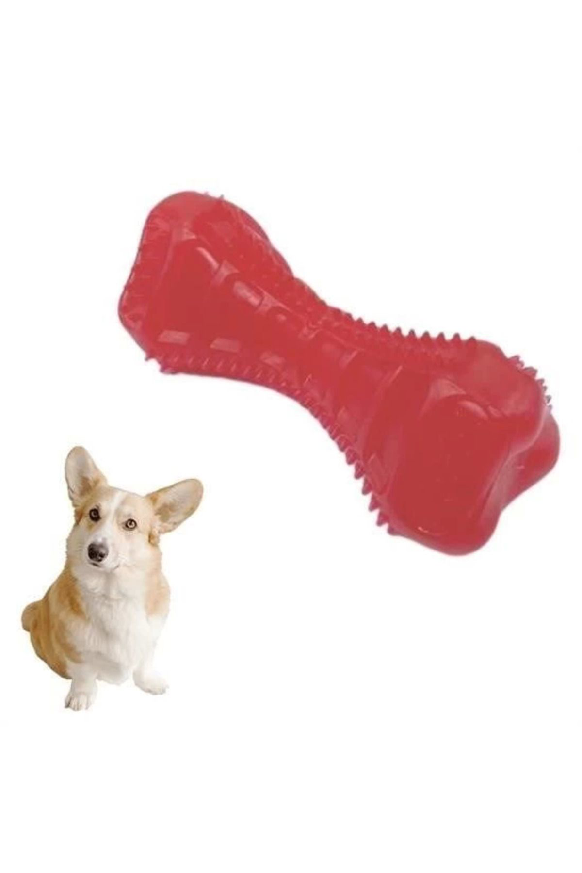 Yusuftex Köpekler İçin Diş Kaşima Oyuncaği Tirtikli Yapida Plastik Dumbell