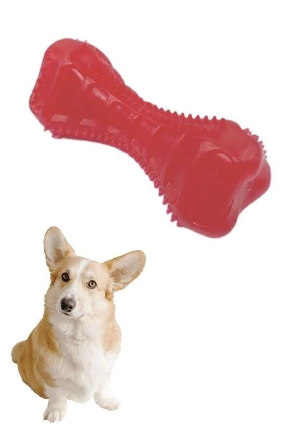 Yusuftex Köpekler İçin Diş Kaşima Oyuncaği Tirtikli Yapida Plastik Dumbell