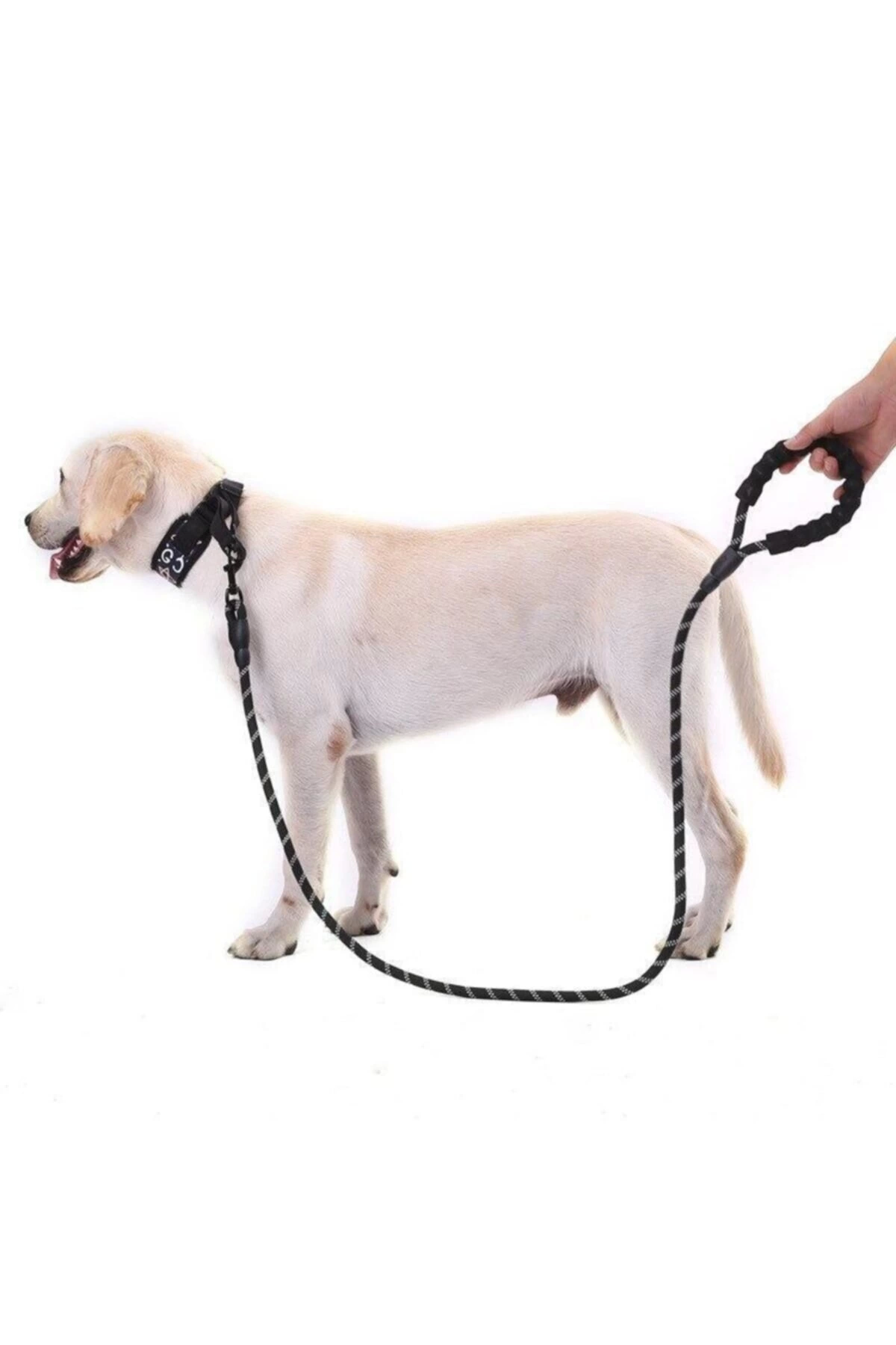 Köpekler İçin Gezdirme Tasması Reflektörlü 130 Cm Halat Orta Ve B