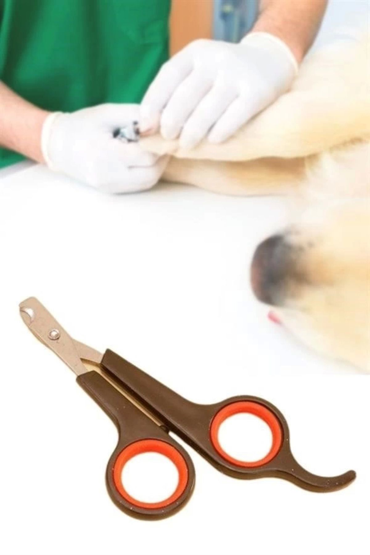 Yusuftex Küçük Çelik Uçlu Kedi Köpek Evcil Hayvan Tirnak Makasi Pati Bakim