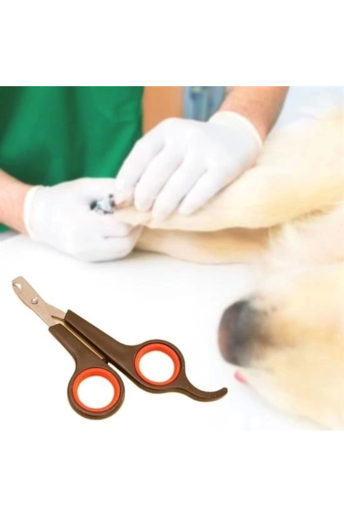 Yusuftex Küçük Çelik Uçlu Kedi Köpek Evcil Hayvan Tirnak Makasi Pati Bakim