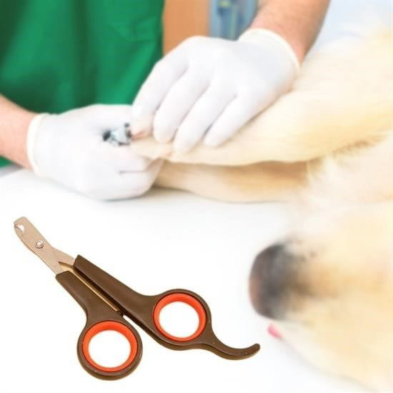 Küçük Çelik Uçlu Kedi Köpek Evcil Hayvan Tırnak Makası Pati Bakım