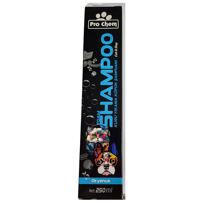 Pro Chem Kuru Şampuan Okyanus 250 Ml