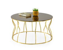 Sivas Gözde Mobilya Lale Ayna Camli Metal Orta Sehpa 80X42cm