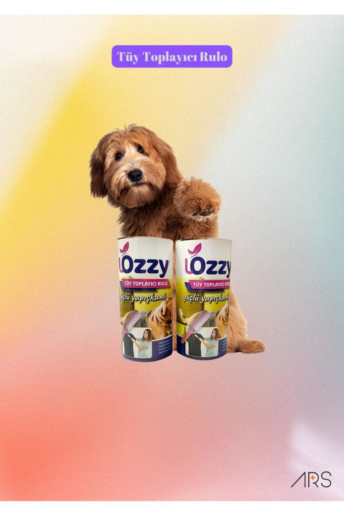 Lozzy  Tüy Toplama Yedek Rulosu 2'Li Paket