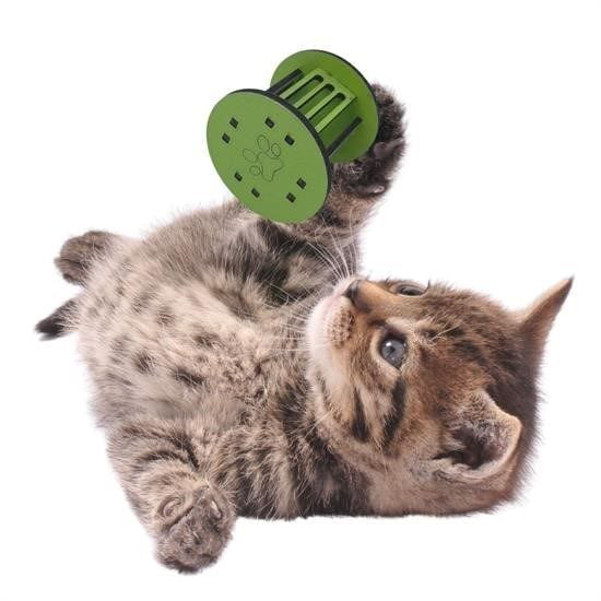 Mini Silindir Eğlenceli Renkli Sağlam Küçük Pati İzi Şekilli Kedi