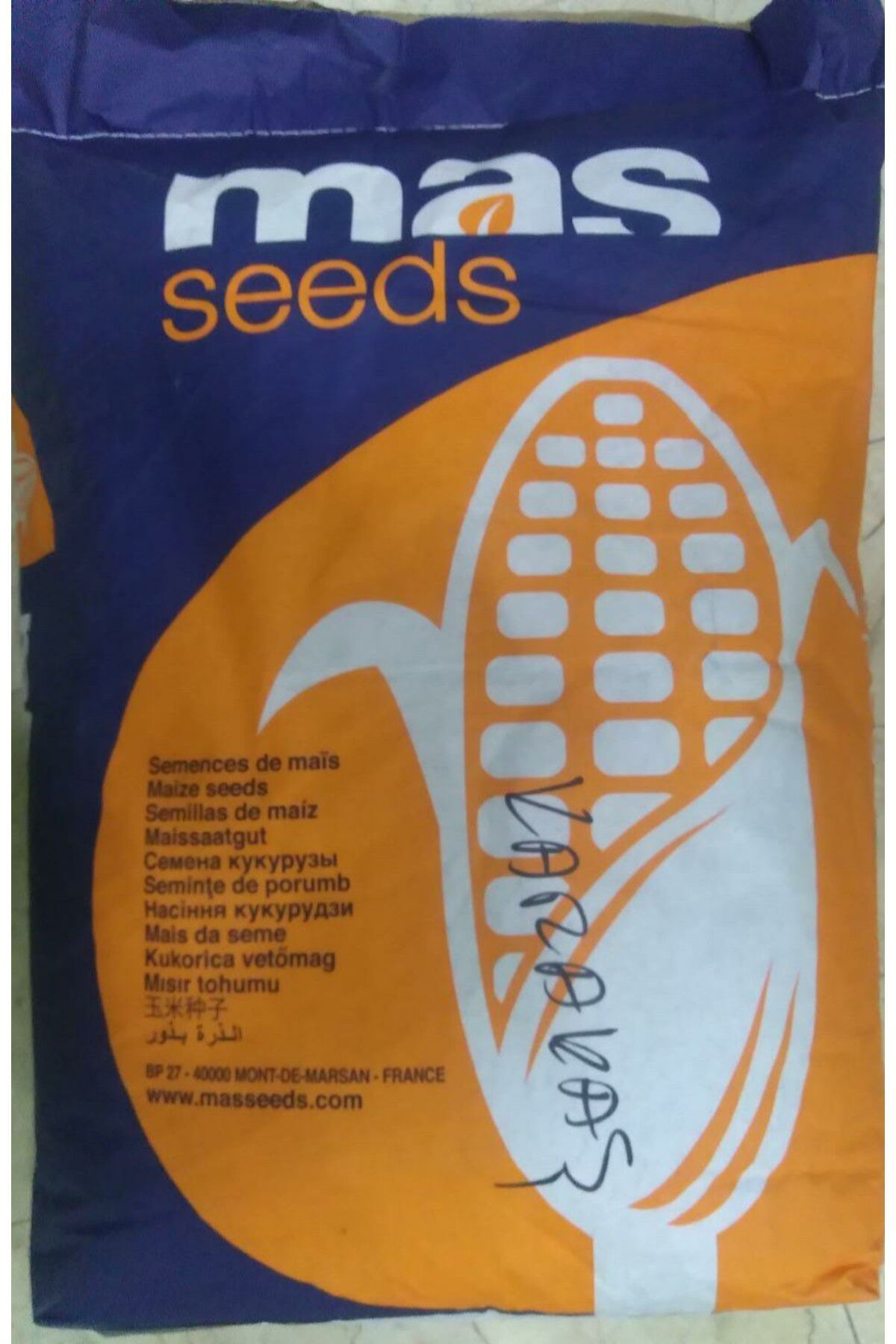 Cegel Ziraat Misir Tohumu Süt Misir 100 Gr Mas Yaklaşik 300 Adet