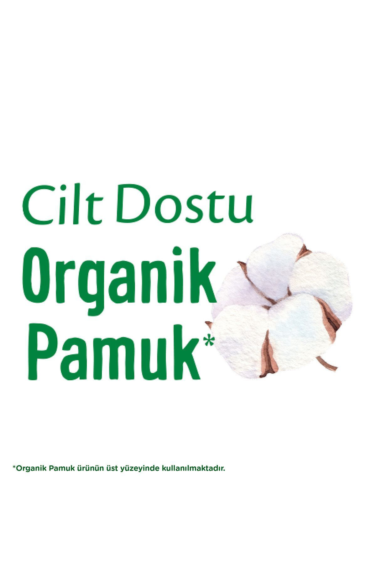 Molped  Pure Soft Mega Firsat Uzun Ultra 36 Li X 3 Adet