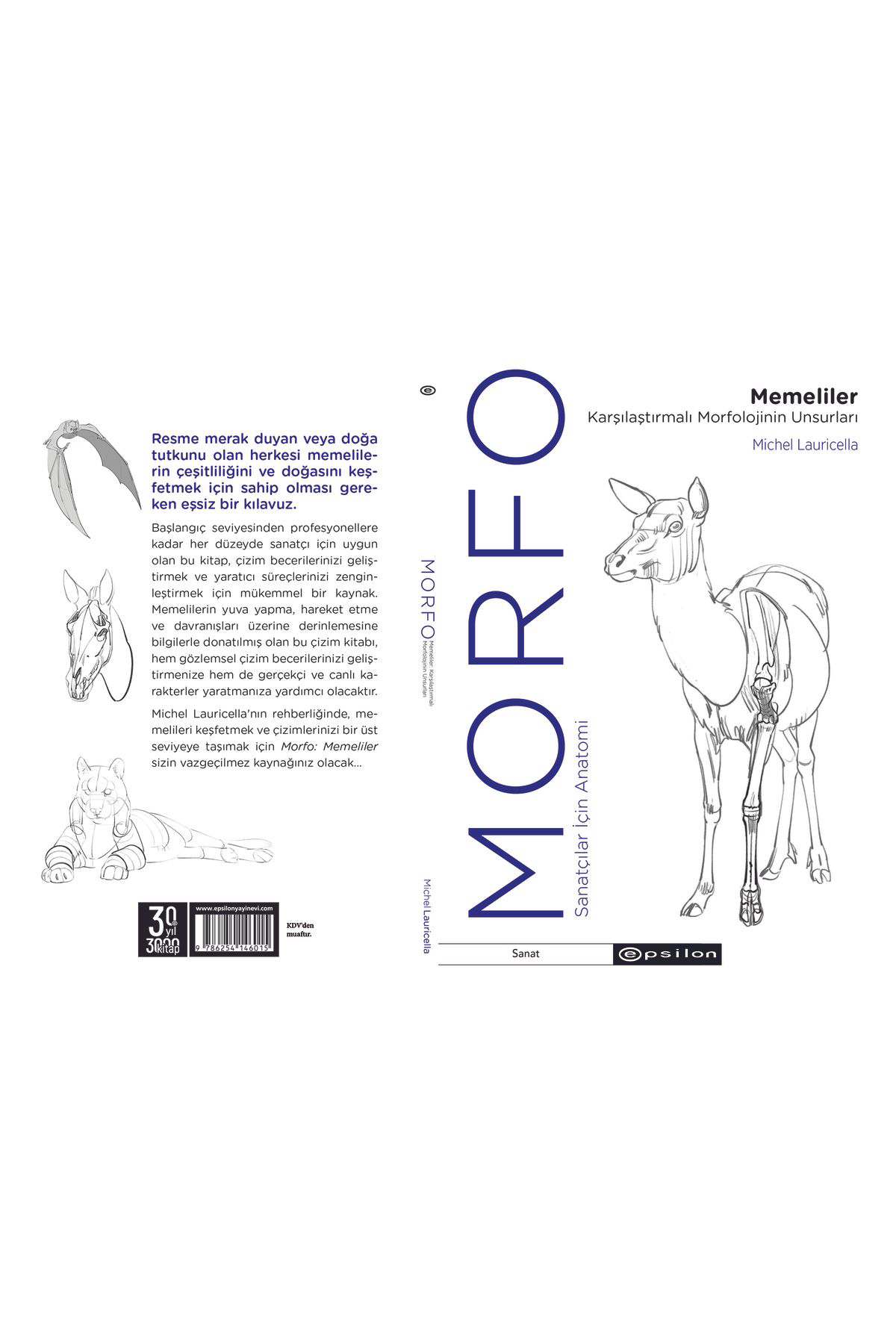 Morfo Memeliler Karşılaştırmalı Morfolojinin Unsurları