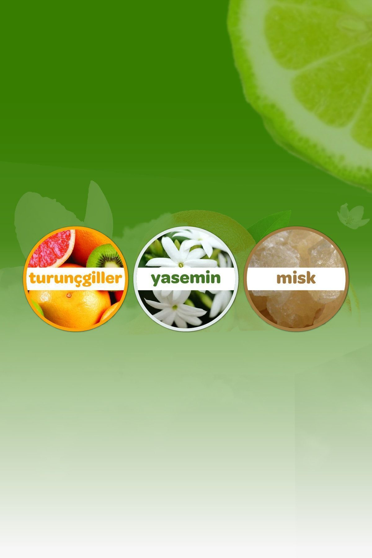 Dalin Orman Esintisi Kolonya 150 Ml-