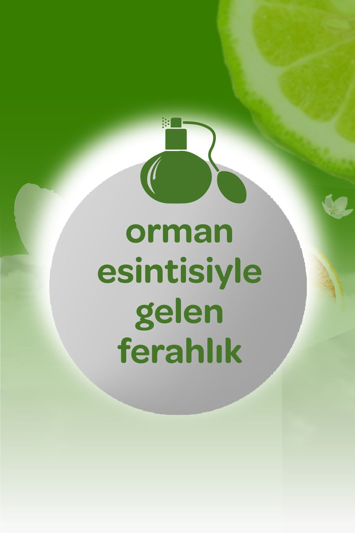 Dalin Orman Esintisi Kolonya 150 Ml-