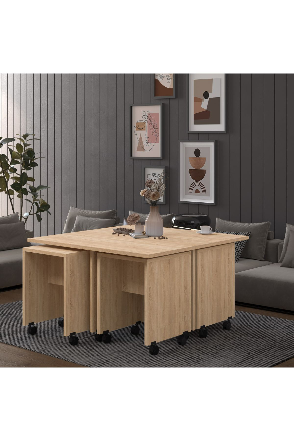 Asra Trend Orta Sehpa Os003 Safir Meşe