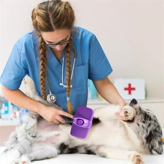 Otomatik Temizlenebilen Tuşlu Pratik Kedi Köpek Tüy Toplama Fırça