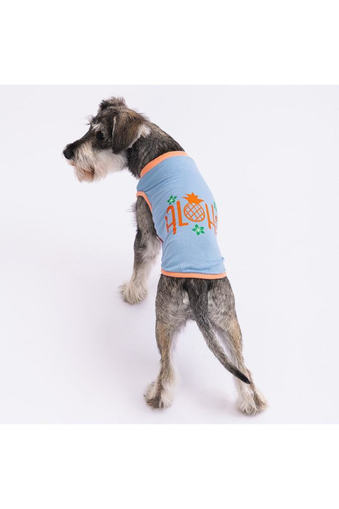 Pawstar  Kedi Ve Küçük Köpek T-Shirt Blue Aloha L Sirt33cm Göğüs46