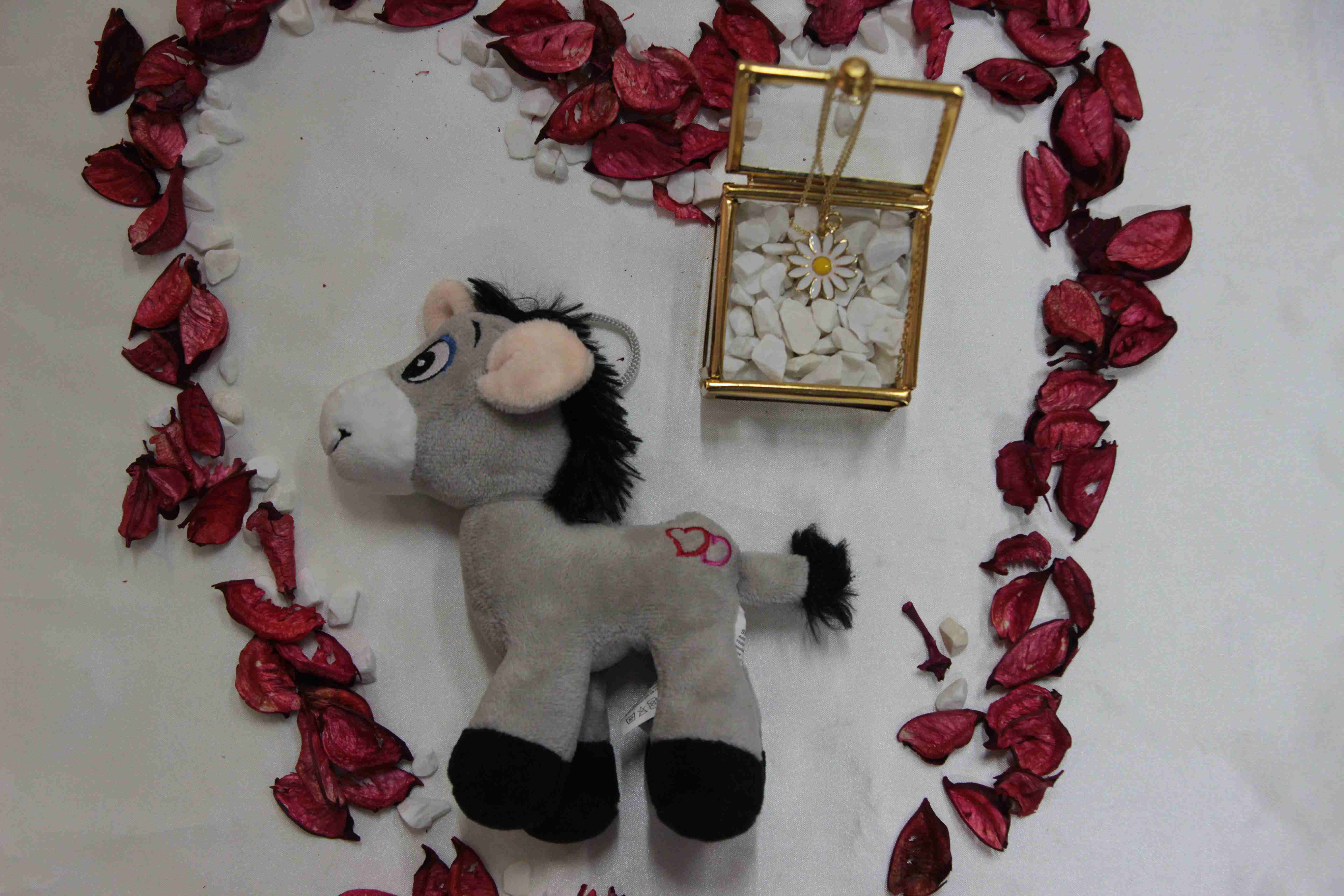 Home Peluş Eşek Affet Beni Kupa Cam Kutusunda Kolye Mavi Termos Sevgiliye Özür Hediyesi