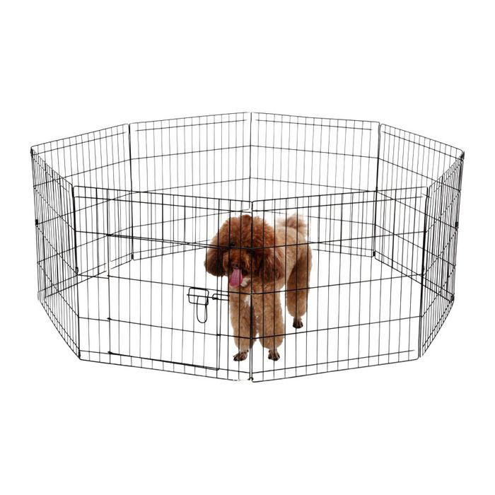 Eko Petshop Köpek Çiti